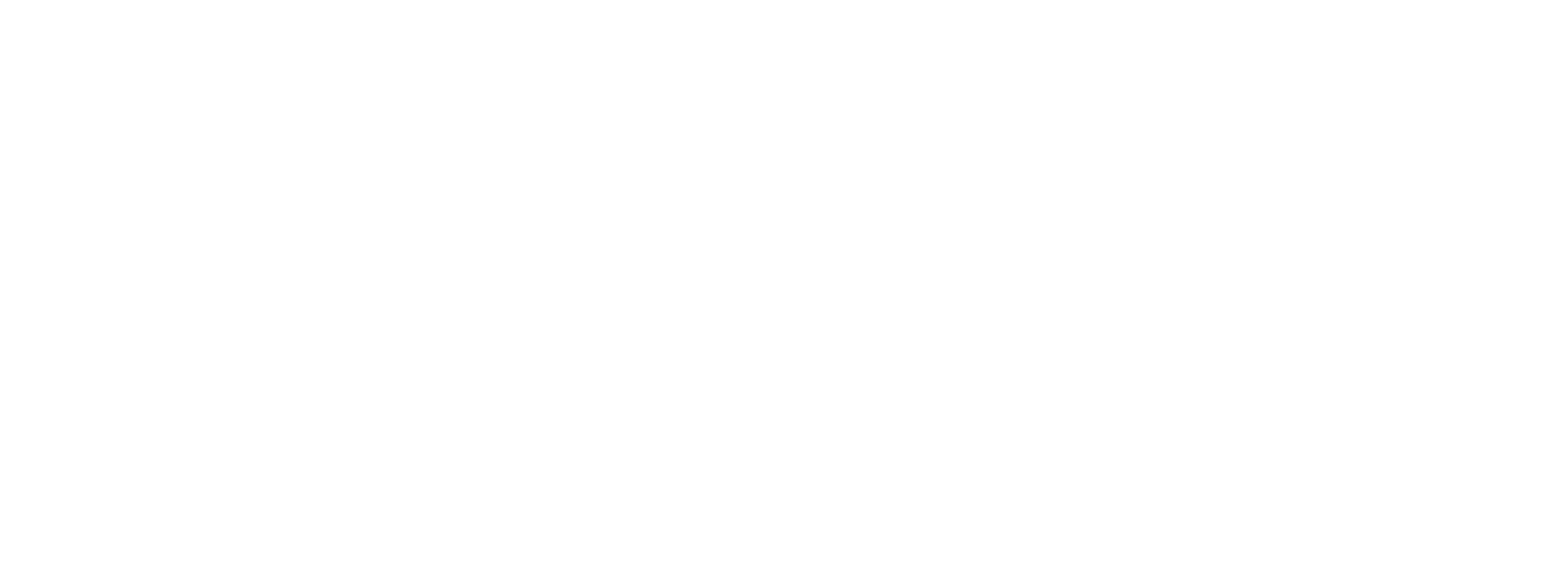 Círculo blanco.